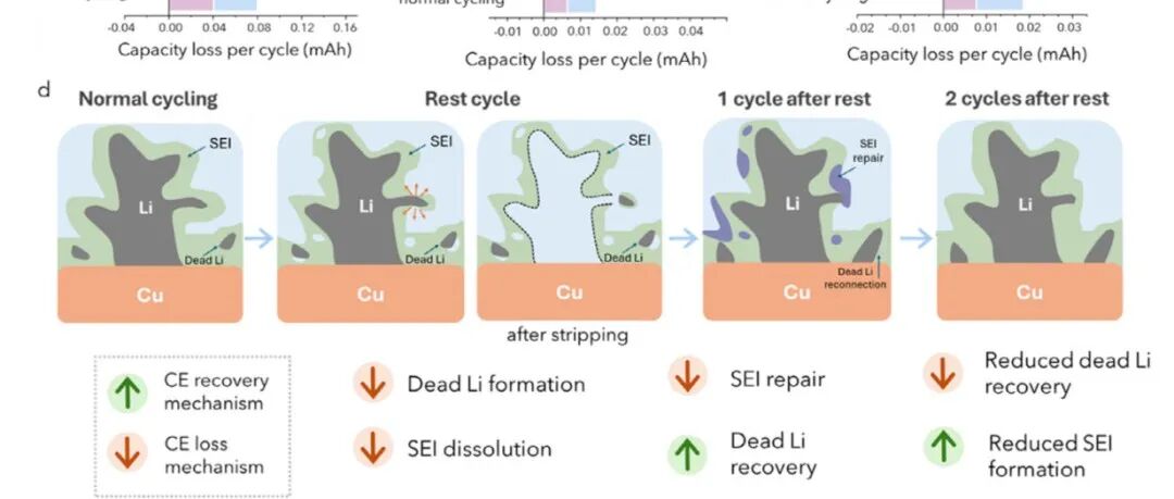 鲍哲南&崔屹新作！揭示日历老化对锂金属电池库仑效率的影响