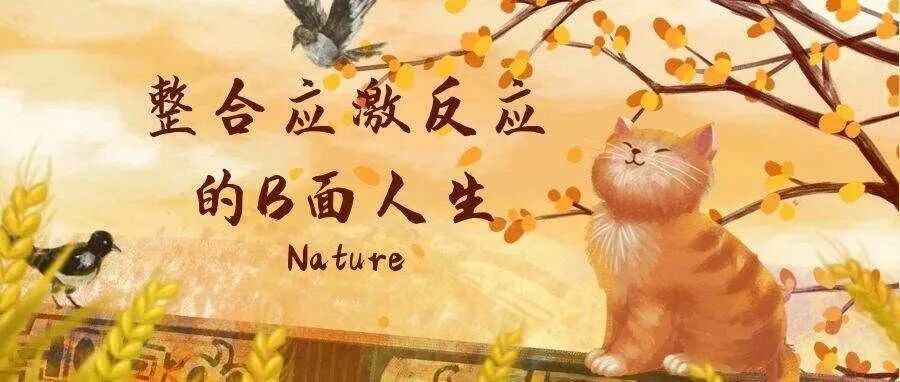 Nature：整合应激反应的B面人生