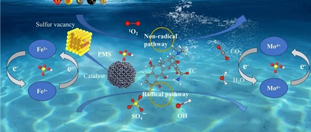 文献速递|佛山大学ASS:通过在FeMo-MOFs上设计硫空位促进PMS活化：单线态氧的主导作用