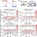 (纯计算)加州理工学院Phys. Rev. B: 基于第一性原理的磁振子-声子相互作用