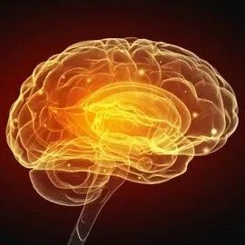 《细胞》重磅:中国科学家开发抗抑郁新药!动物实验1小时即可起效