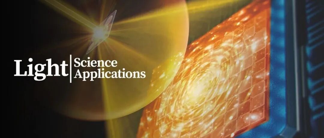 速览:Light 第14卷 第10期