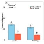 Journal of Ecology | 气候变暖会降低物种演替的异步性，从而加剧灌木对群落稳定性的负面影响