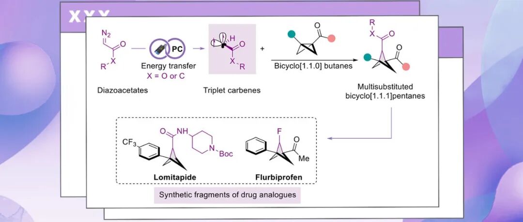 【Angew. Chem.】有机大牛Magnus Rueping团队：模块化合成双环[1.1.1]戊烷生物电子等排体