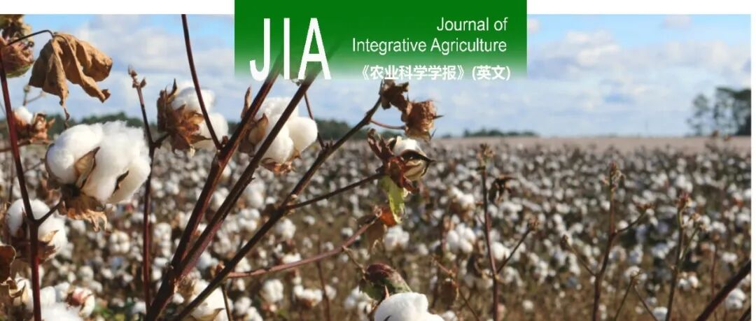 JIA | 石河子大学绿洲农业信息技术与智慧农业吕新教授团队：基于多叶位高光谱信息的棉花叶片钾含量估算模型