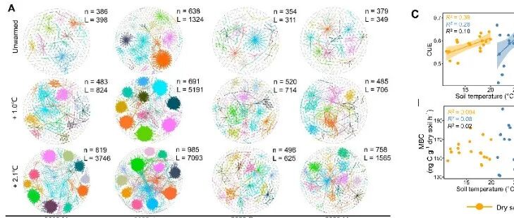 Science Advances | 鼎湖山站刘菊秀研究员团队揭示微生物网络重组驱动长期增温下微生物碳代谢的热适应