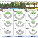 Journal of Applied Ecology | 福建师范大学三明站在森林恢复对深层土壤碳积累的影响方面取得新进展