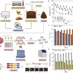 东北大学朱彤团队ESE：伴侣蛋白介导的耐热机制——耐热微生物揭示极端热堆肥体系的分子重塑奥秘