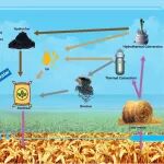 中科院过程工程所李望良等The Innovation Energy：AI驱动的水、能源和粮食联结优化在可持续资源管理中的应用