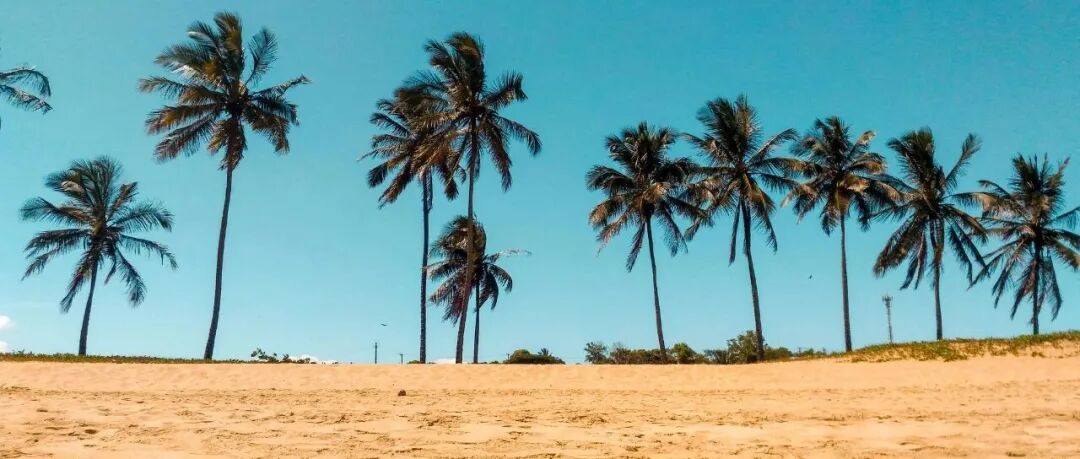 当政策不确定性遇上数字化转型：企业的投资迟疑