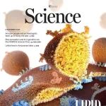Science 封面文章：揭露脂滴形成新机制