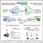 Cell：中国学者提出快速抗抑郁新思路，动物模型表现亮眼