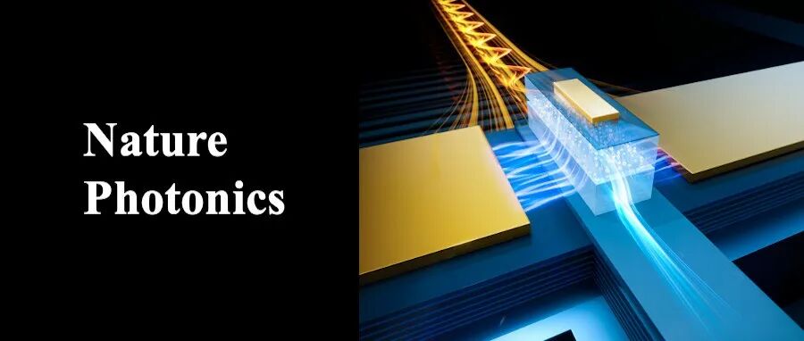 陈佰乐/余建军等Nature Photonics | 超高“带宽–效率积”光电探测器