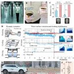 理化所董智超、于存龙团队 Sci. Adv.：猪笼草界面设计显著提升液体稳定性