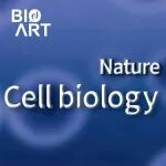 Nat Cell Biol | 看不见的开关：缺氧生命的翻译密钥