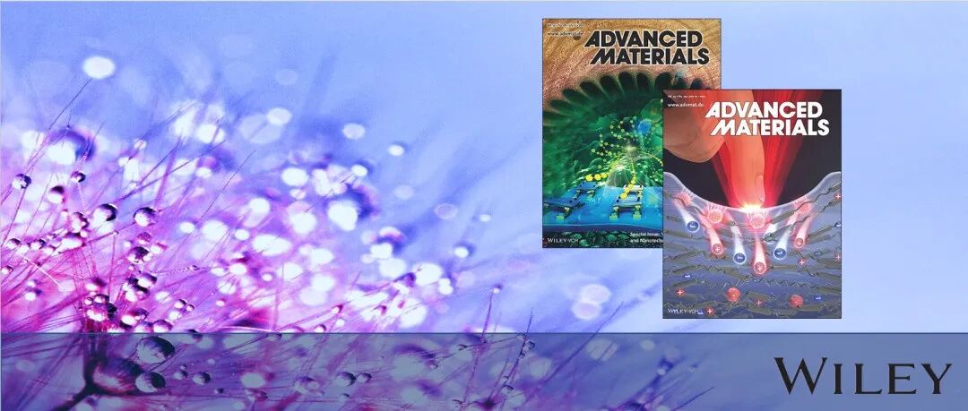 加拿大康考迪亚大学邓思旭，美国阿贡实验室徐桂良团队AM综述：锰基正极在固态电池中的发展与机遇