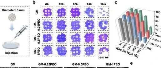 中科院上海硅酸盐研究所《Materials Horizons》：基于多孔GelMA的生物3D打印支架递送干细胞用于微创精准医疗