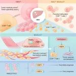 J Hepatol | 哈尔滨医科大学郝大鹏/邰升/郑桐森确定FABP4是MASLD相关HCC的预后标志物
