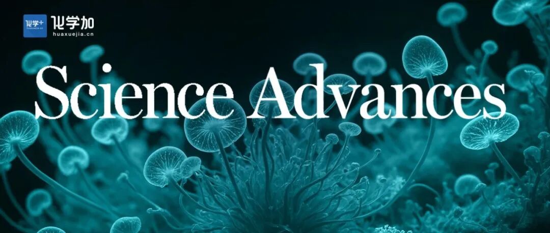 Sci. Adv. | 江西师范大学万结平课题组在多组分一步合成β-酰氧基烯基酰胺活化氨基酸/羧酸及肽缩合剂的发现方面取得进展