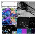 香港城市大学Nature子刊：新型超级钛合金，实现耐点蚀、高强韧、轻量化的创新结合