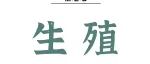 Adv Sci | 吴鑫团队报道小鼠睾丸类器官中精子发生时空特征