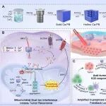ACS Nano：线粒体靶向双离子干扰剂可放大铜死亡以增强黑色素瘤免疫治疗和加速术后伤口愈合