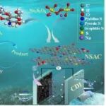 湘潭大学ACS Sus. Chem. Eng.：氮-硫共掺杂策略赋予超微孔壳聚糖活性炭通过电容去离子选择性吸附Li⁺/Mg²⁺