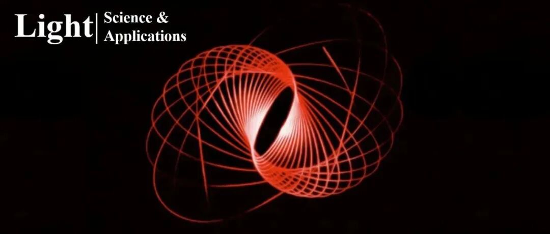 Light | 矢量结构光束不可分性的相干探测方案