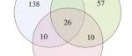 《食品科学》：新疆维吾尔自治区农业科学院高雁研究员等：3 种不同原料酸粥的微生物多样性分析及其分离菌株的生理学特性