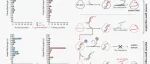 PNAS|与神经发育障碍相关的ArgAerte突变使RISC的形成延迟，并通过3‘→5’修剪导致miRNA异常缩短