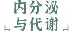 Cell Rep丨揭示“干细胞-免疫细胞纳米隧道通讯障碍”驱动GDM胰岛素抵抗的新机制