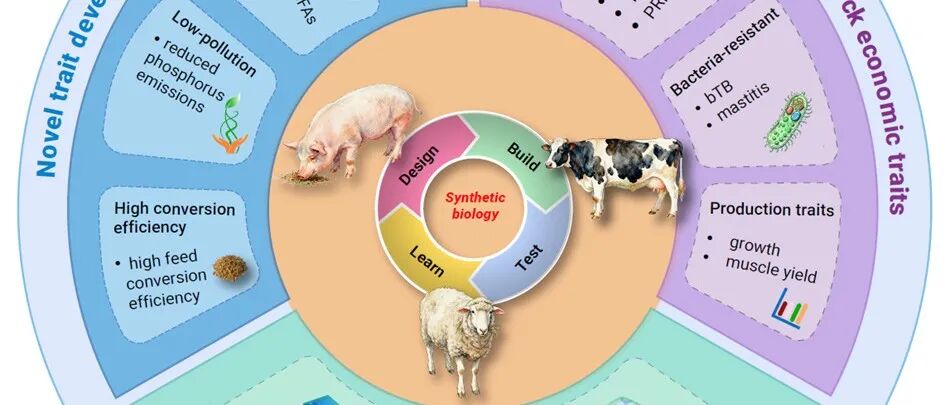 The Innovation Life | 合成生物学革新动物育种与生物制造：育种不再是‘选’出来的，而是被‘设计’出来的