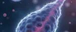 精子不止送基因！Nature 子刊：它带的“RNA 说明书”决定胚胎质量，IVF 成功率可提前预判