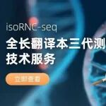 全长翻译本三代测序，解码翻译调控与可变剪接