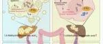 重庆医科大学陈承志团队最新Nature子刊