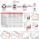 Adv Sci | 同济大学熊利泽等发现抑制肝源性C3蛋白挽救麻醉/手术引起的认知障碍、突触紊乱和小胶质细胞吞噬作用