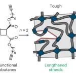 研究前沿：聚合物韧性-网络拓扑，智能交联 | Nature Chemistry
