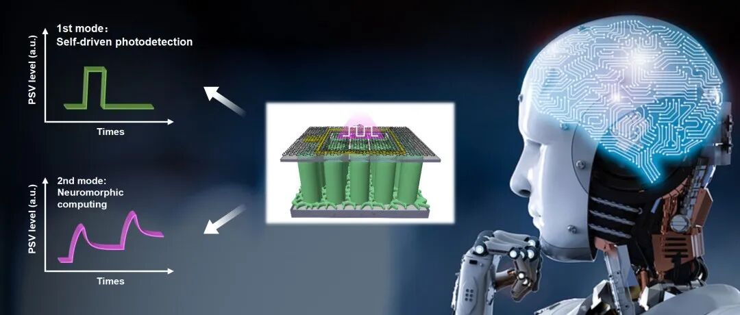 赵宇坤/陆书龙等Light | 氮化镓双功能智能传感：快与慢的单片集成