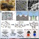 青岛大学周华教授团队 Small：微纳米空穴脊状重入结构涂层体系→实现无氟超疏液表面