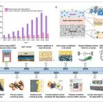 中石大（华东）《AFM》：综述！碳材料用于硫化物基固态锂电池的最新进展