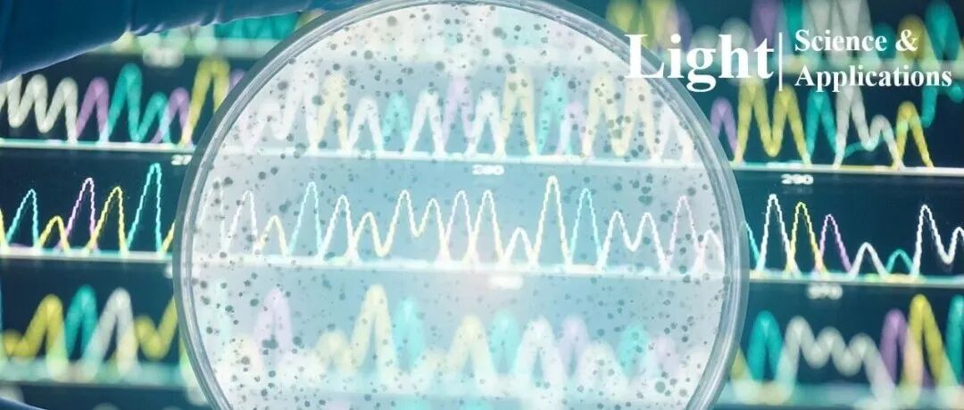 郭旭涵、苏翼凯团队Light | 微型混沌辅助光谱仪