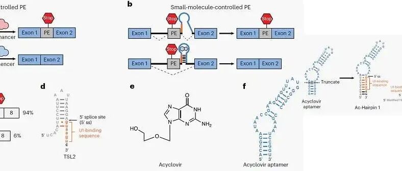 Nat. Methods | Cyclone系统：小分子调控基因表达的新方法