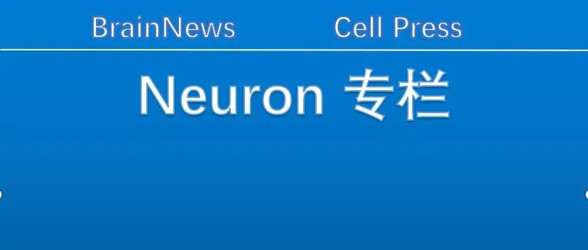 Neuron：睡眠如何把“经历”变成“长久记忆”？