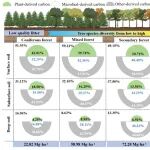 Journal of Applied Ecology | 福建师范大学三明站在森林恢复对深层土壤碳积累的影响方面取得新进展