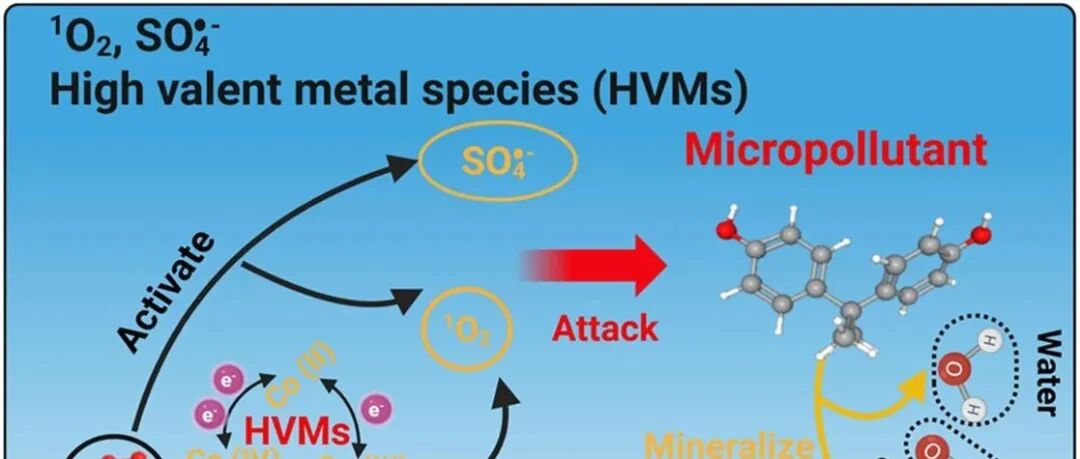 文献速递|清华大学深圳国际研究生院JMS:纳米限制的Co-MOF夹层膜催化高效净水：性能与机理研究