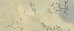 Chemical Reviews 最新特刊 | 化学与生物学中的弱相互作用