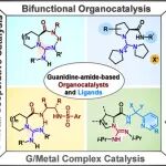 【Acc. Chem. Res.】四川大学刘小华教授/冯小明院士团队：手性胍-酰胺配体和催化剂在不对称合成中的应用