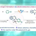 【JACS】华南理工张珉课题组：N-杂芳烃与芳基羧酸衍生物选择性电还原交叉偶联构建C(sp³)‒C(sp³)键