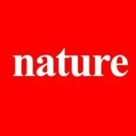 陈鹏院士，Nature Catalysis！