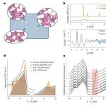 研究进展：非晶材料In₂O₃-电子行为 | Nature Physics